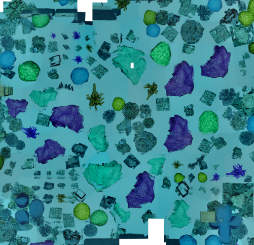 2D orthomosaic reconstructed from the dive (simulation).